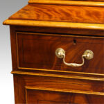 Edwardian mahogany cabinet bookcase - Image 7