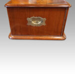 Edwardian mahogany collectors cabinet - Image 7