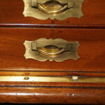 Edwardian mahogany collectors cabinet - Image 5
