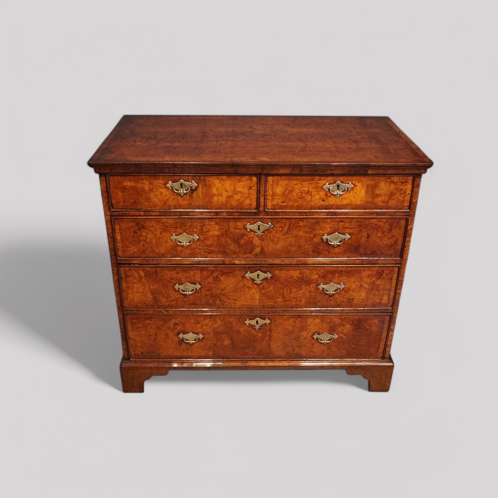 George-II-burr-elm-chest.jpg George II burr elm chest - Image 1