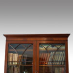 George III Mahogany Library Bookcase - Image 6