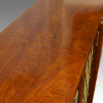 Pair of Regency style mahogany cabinets - Image 5