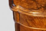 Pair of Victorian burr walnut bedside chests - Image 2