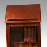 Regency mahogany library cabinet - Image 3
