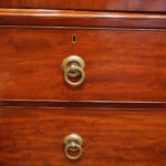 Regency mahogany linen press - Image 4