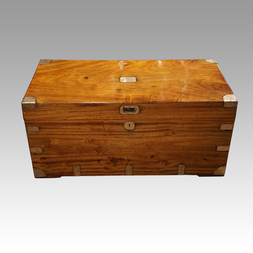 Victorian-Camphorwood-trunk.jpg Victorian Camphorwood trunk - Image 1