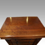 Victorian Wellington chest - Image 5