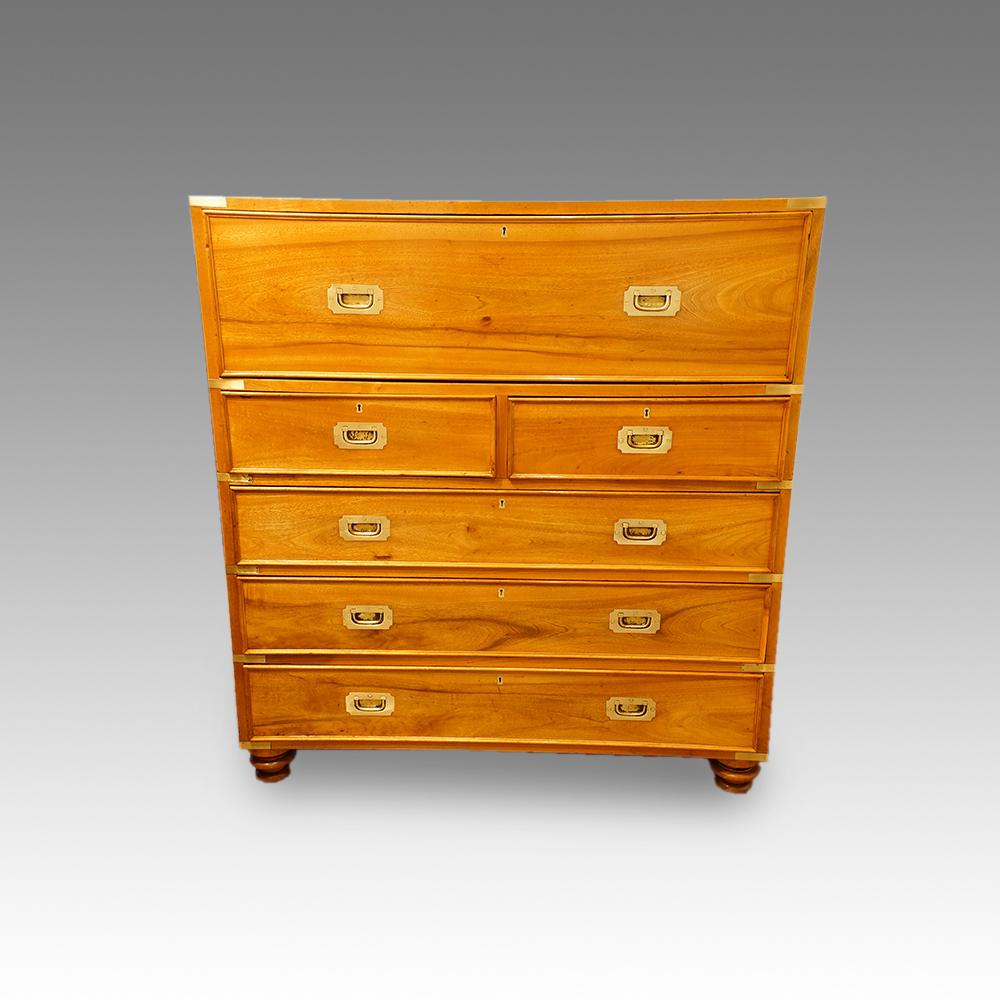 Victorian-camphorwood-brass-bound-campaign-chest.jpg Victorian camphorwood brass bound campaign chest - Image 1
