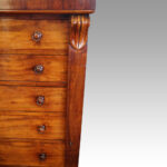 Victorian mahogany Wellington chest - Image 6