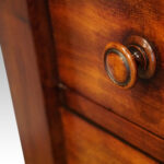 Victorian mahogany Wellington chest - Image 5