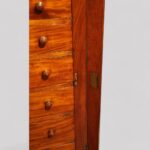 Victorian mahogany Wellington chest - Image 5