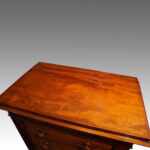 Victorian mahogany Wellington chest - Image 7