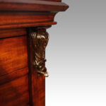 Victorian mahogany Wellington chest - Image 5