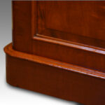 Victorian mahogany cabinet bookcase - Image 5
