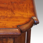Victorian mahogany low cupboard - Image 10