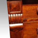 Antique mahogany Wellington chest - Image 3
