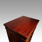 Antique mahogany Wellington chest - Image 6