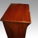 Victorian mahogany Wellington chest - Image 9