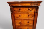 Victorian rosewood Wellington chest - Image 3