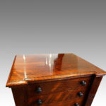 Victorian rosewood Wellington chest - Image 5