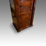 Victorian rosewood Wellington chest - Image 8