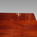 Small Victorian mahogany Wellington chest - Image 3