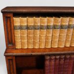 William IV mahogany chiffonier bookcase - Image 5