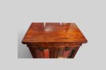 William IV mahogany collectors cabinet - Image 3