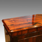 William IV rosewood small one door side cabinet - Image 3