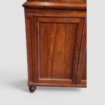 William IV Rosewood Two-Part Antique Bookcase with Glazed Doors & Cupboard Base - Image 7